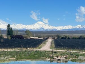 enoturismo bodegas mendoza